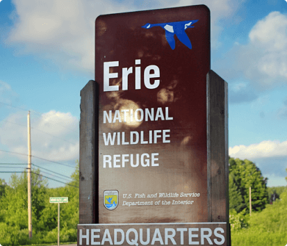 Depend on our team to provide exceptional solutions